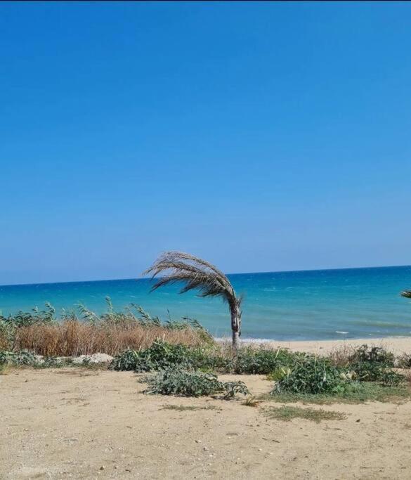 Ca' Sole Appartement Butera Buitenkant foto